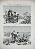 1872 India Antelope Hunting Cheetah Sport Cart Country
