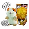Peers Hardy Chatimal Hamster( Colour May Vary )