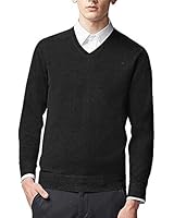 Just No Logo Men's Extra Fine Merino V-Neck Pullover Sweater Thin Soft