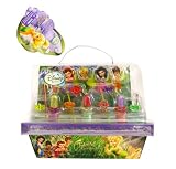 Disney Fairies Beauty Garden (Hang Tag)
