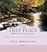 The Deep Place Where Nobody Goes: Conversations with God on the Steps of My Soul