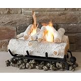 Real Flame 18-Inch Convert-to-Gel Log Set, Oak