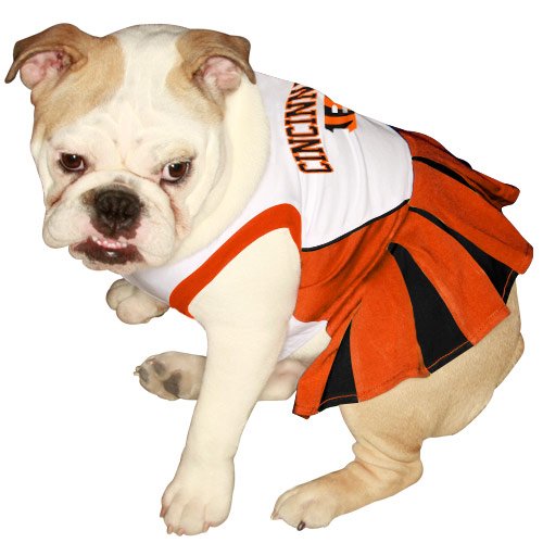 Cincinnati Bengals Orange-Black Pet Cheer Dress (X-Small)