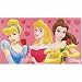 Kitchen & Housewares : Disney Princess 3 Princesses Rug