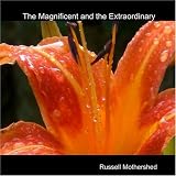 The Magnificent and the Extraordinary