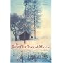 The Burnt-Out Town of Miracles