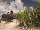 18th Century Rum Distillery, Marie-Galante Island, Guadaloupe, Caribbean Photographic Poster Print by Walter Bibikow, 16x12
