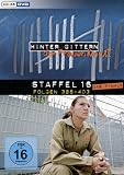 Hinter Gittern - Staffel 16 (4 DVDs)
