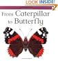 From Caterpillar to Butterfly (Lifecycles)