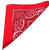 Red Paisley Bandana (Centre Patterned)