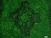 Search Our Specialty Mall : CELTIC SARONG "CELTIC CROSS 1" EMERALD GREEN