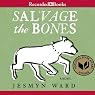 Salvage the Bones: A Novel