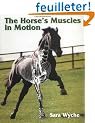 The Horses Muscles in Motion