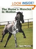 The Horse's Muscles in Motion