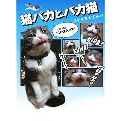 �L�o�J�ƃo�J�L�\�X�P�L���ł����! (�A�[�X�E�X�^�[�u�b�N�X)