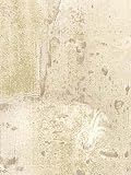 ALBENA TROMPE L'OEIL Wallpaper -SF21007 Wallpaper