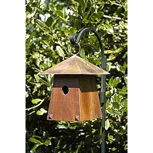 Avian Bungalow Birdhouse by
