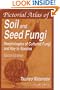 Pictorial Atlas of Soil and Seed Fungi: Morphologies of Cultured Fungi and Key to Species, Second Edition
