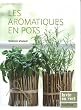 Les aromatiques en pots