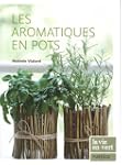 Les aromatiques en pots