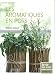 Les aromatiques en pots