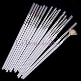 16 Piece Nail Art Tip Brush Tool Set - Dotting Pen Drawing Liner Striper and Fine Detail with Free Gift Glitter Powder