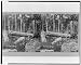 Battle-field of Gettysburg - Effect of Union shot and shell on the trees on Culp's Hi...