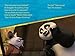 Panda School (Kung Fu Panda TV)