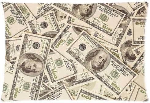 Ackershop custom Personalized pillowcase, US Dollar Currency Money Pillowcase, Hundreds of 100 Dollar Bills (2) pattern pillowcase Zippered Pillow Case Plush fabrics (20 X 30 inch Two-sides printing)