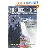The Sherlock Holmes and the Baker Street Irregulars #4: The Final Meeting (Sherlock Holmes And The BSI)