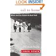 Call To Home: African-Americans Reclaim The Rural South by Carol B. Stack