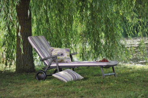 Acamp 90002 Astor Lounger With Cushion – Anthracite/Lilac Flower