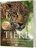 Buch