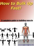 How To Bulk Up Fast - A complete guide to building muscle