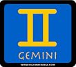 Gemini Toll Pass Holder