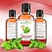 Real Peppermint Essential Oil :: Pure Undiluted (1oz)