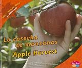 Cover for 9781429632591