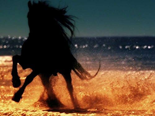 Beautiful mosque Paintiing - On Canvas Modern Wall Art Pictures For Home Decoration Wooden Framed (20X30 Inch, Framed)