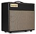 Friedman Small Box 65-watt 1x12