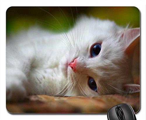 love suffered little pussy Mouse Pad, Mousepad (Cats Mouse Pad)