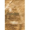Dissolve (American Poetry Series)