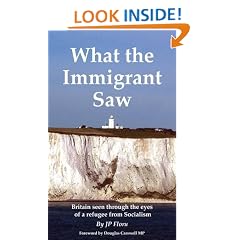 What the Immigrant Saw