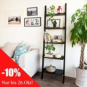 Modernes Leiterregal mit fünf Böden, Standregal, Wandregal, 56x189cm