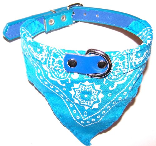Bandana Dog Collar Two Tone Light Blue Small Size 10