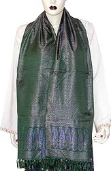 Women's Scarves Designers Accessories Premium Silk 22 x 72 inches (srfp287)