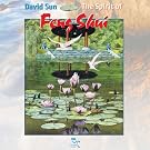 Spirit of Feng Shui
