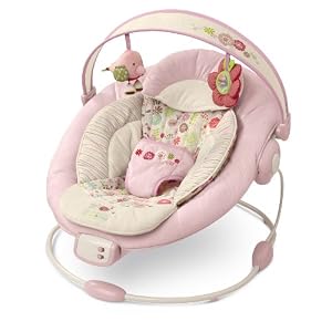 Bright Starts Comfort and Harmony Bouncer, Vintage Garden