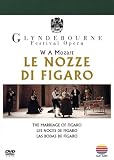 モーツァルト:歌劇《フィガロの結婚》全4幕 [DVD]