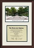 Diploma Frame & Lithograph University of South Florida Bulls NCAA
