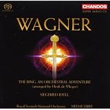 The Ring An Orchestral Adventby Jarvi
